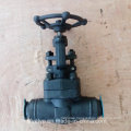 DIN High Pressure Forged Steel A105 Butt Welding Globe Valve